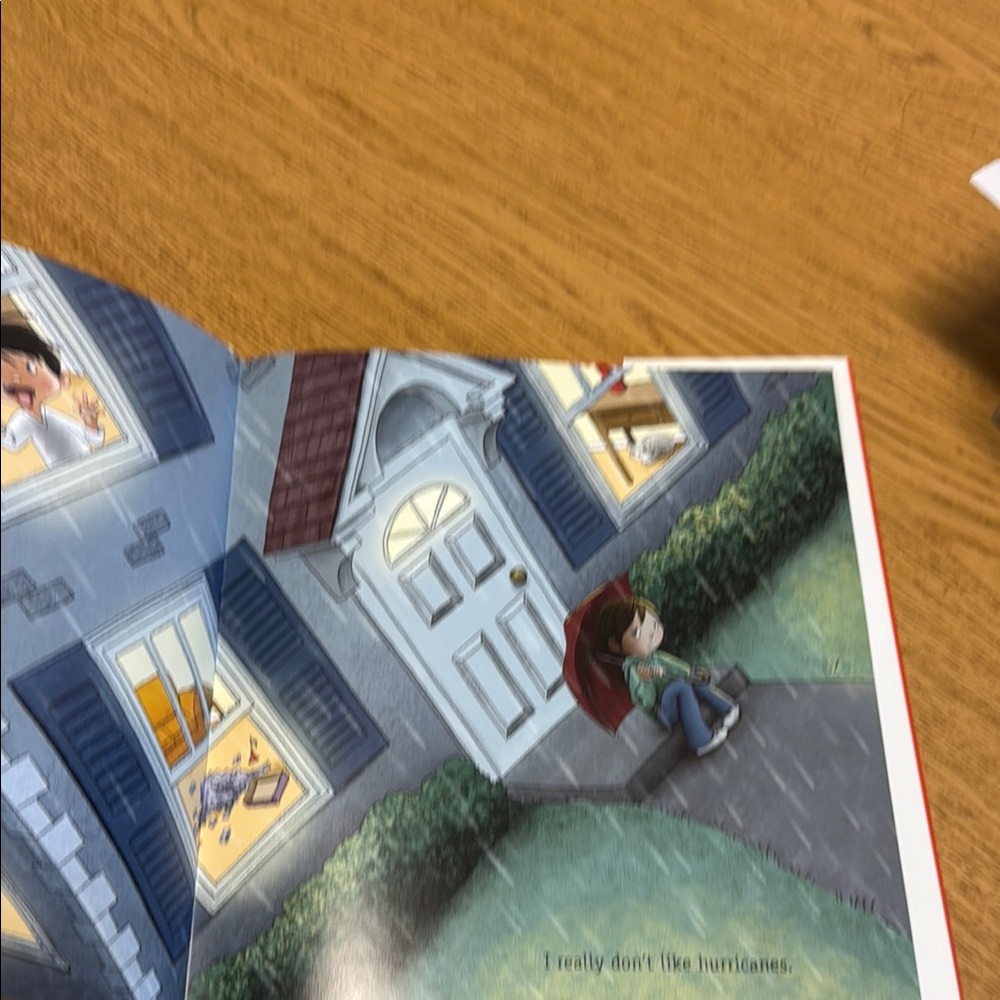 The Lemonade Hurricane Children's Book - Picture 3 of 6